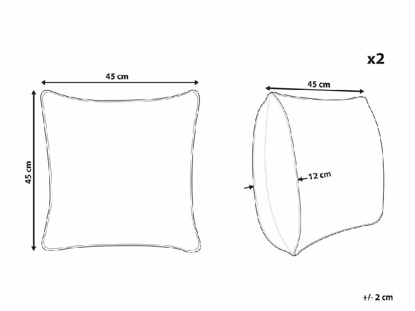 Set 2 ks. vankúšov 45 x 45 cm ASTARA (polyester) (strieborná)
