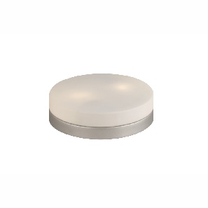 Stropné/nástenné svietidlo Opal 48402 (nikel + opál)