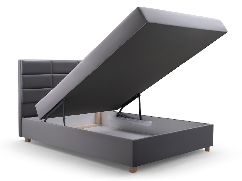Jednolôžková posteľ 120 cm Picasso II (sivá) (s úl. priestorom a matracom) 
