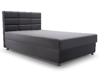Jednolôžková posteľ 120 cm Picasso II (sivá) (s úl. priestorom a matracom) 